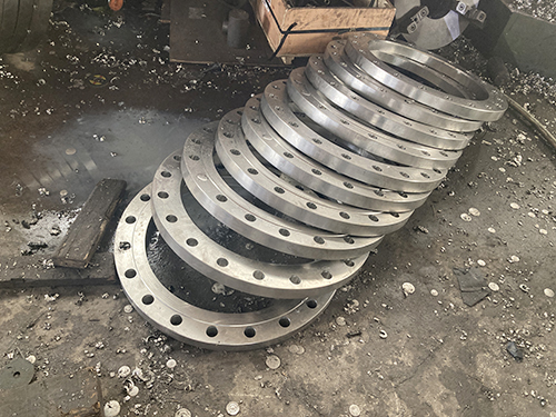 Forged flange (17)